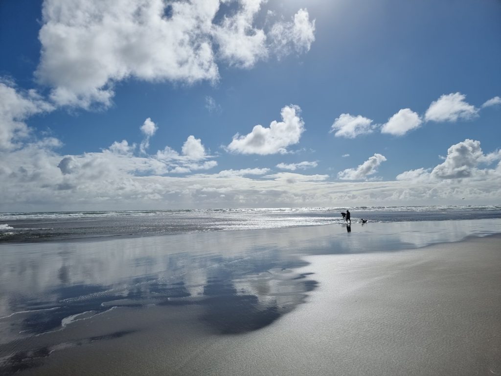 Muriwai