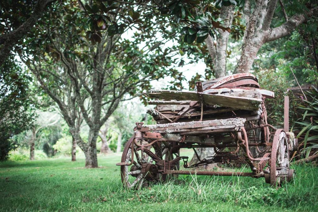 Vineyard grounds with machinery